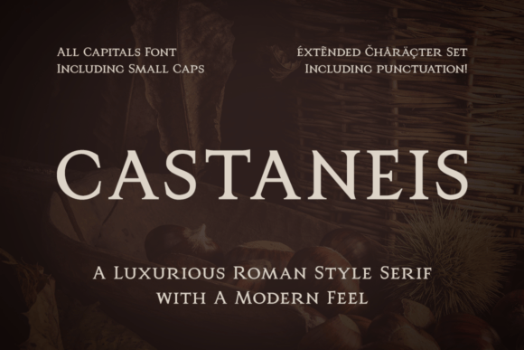 Castaneis: A Modern Serif with Timeless Appeal